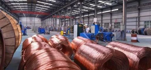 灃西新城兩家電線企業(yè)榮膺2023年民營經(jīng)濟轉(zhuǎn)型升級示范